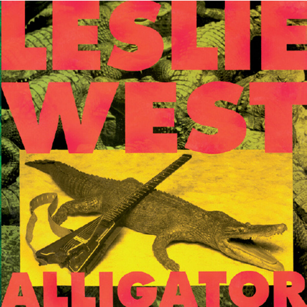 Album cover of Alligator