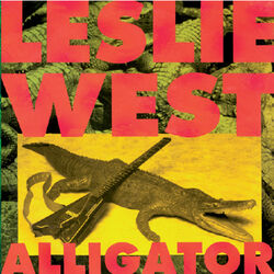 Cover of Alligator