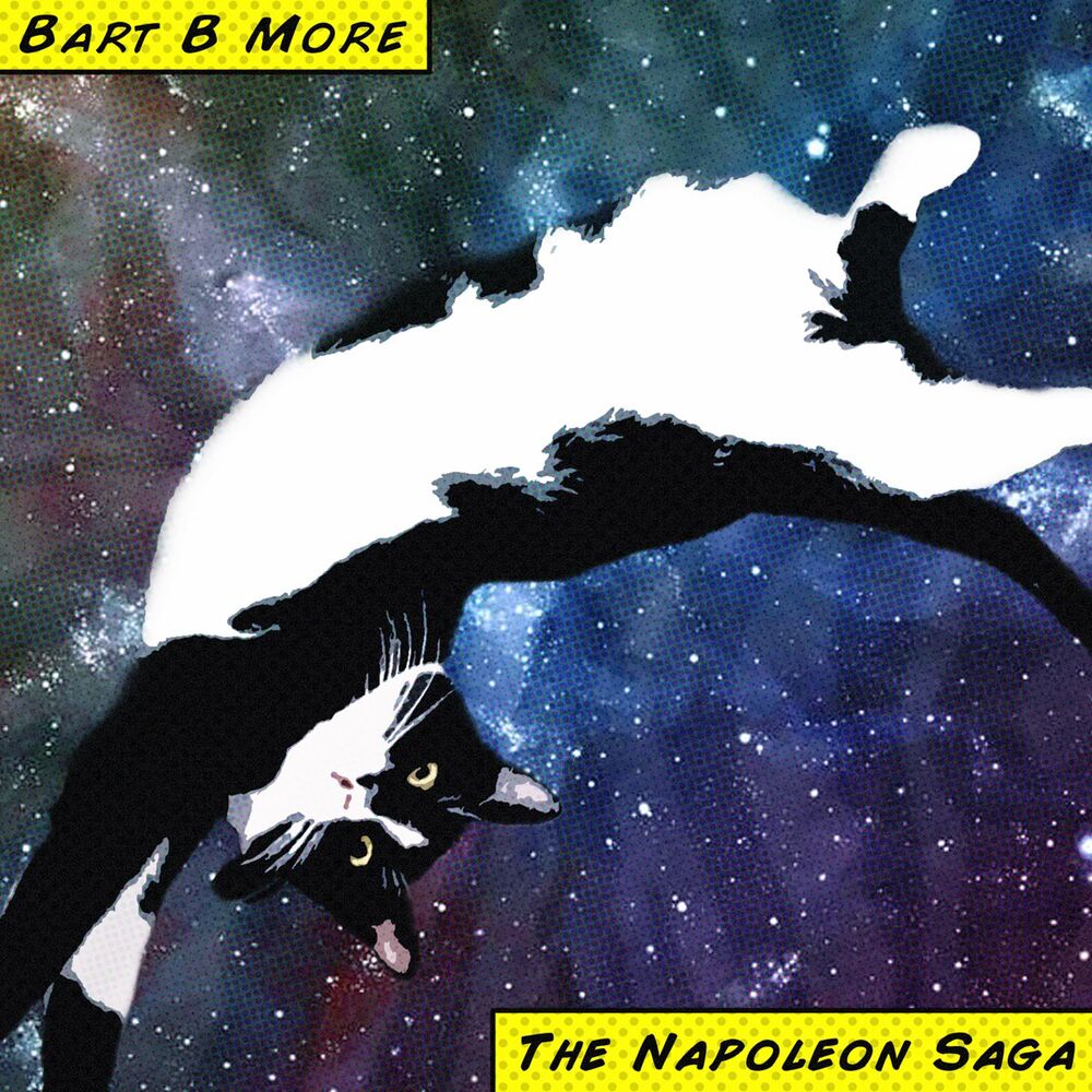 Picture of The Napoleon Saga