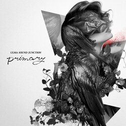 Cover of primary