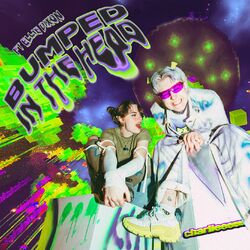 Cover of BUMPED IN THE HEAD