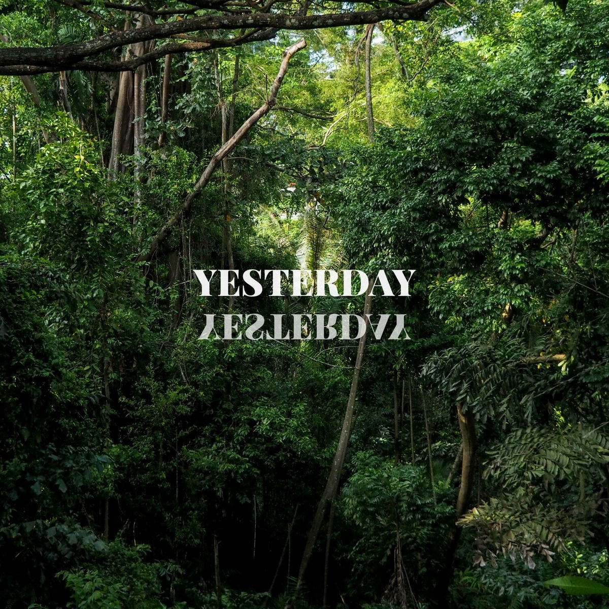 Album cover of Yesterday