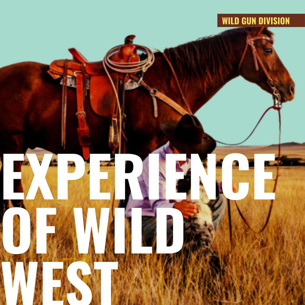 Picture of Instrumental Experience of Wild West