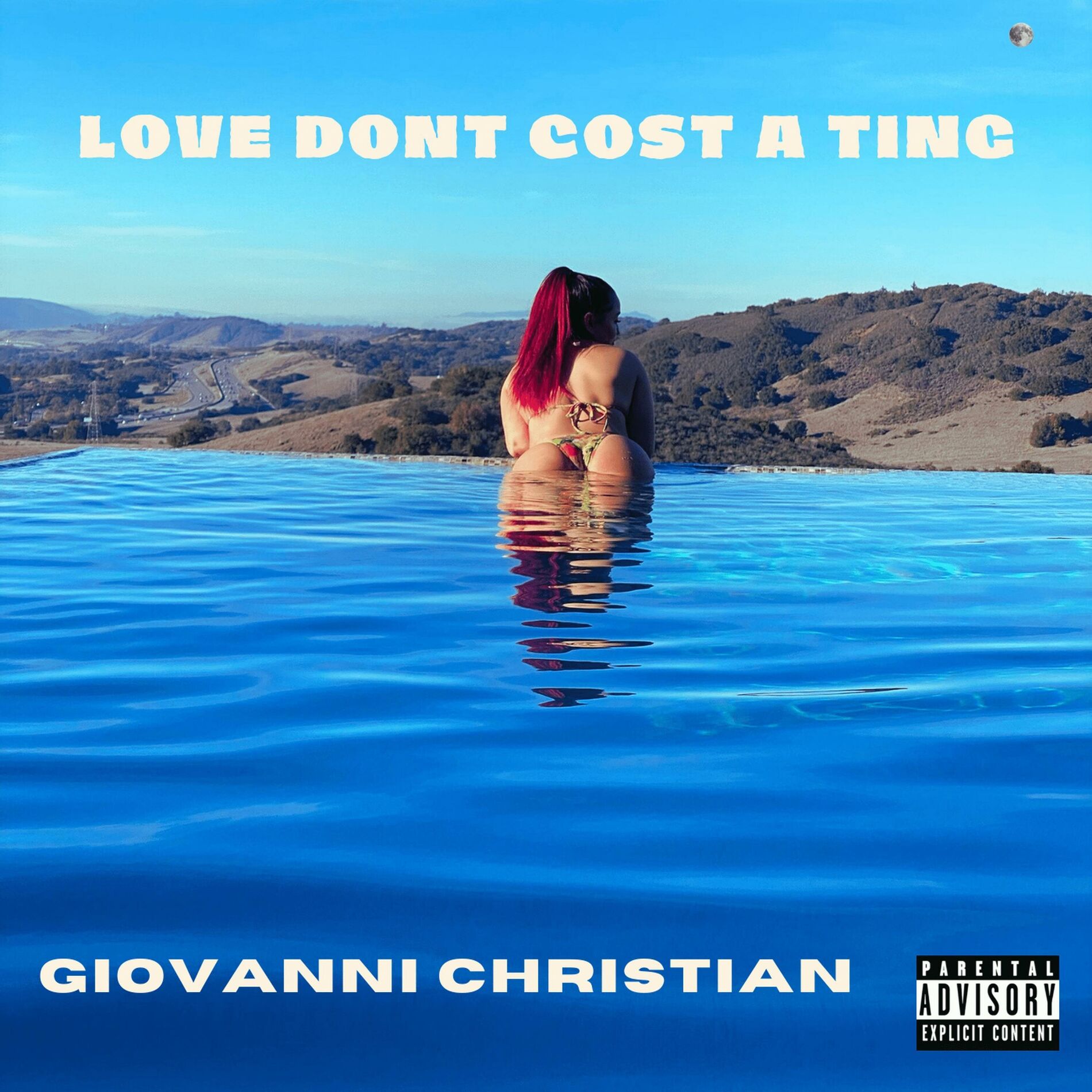 Album cover of LOVE DON'T COST A TING