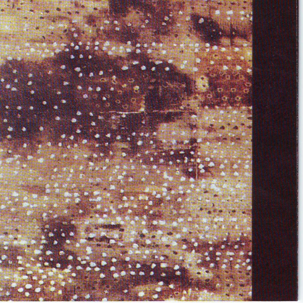 Picture of Buried alive