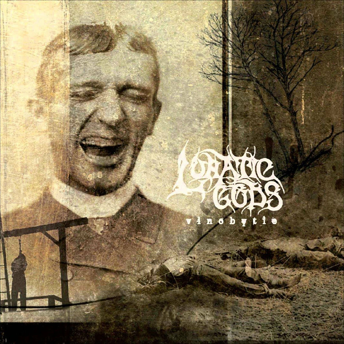 Album cover of Vlnobytie