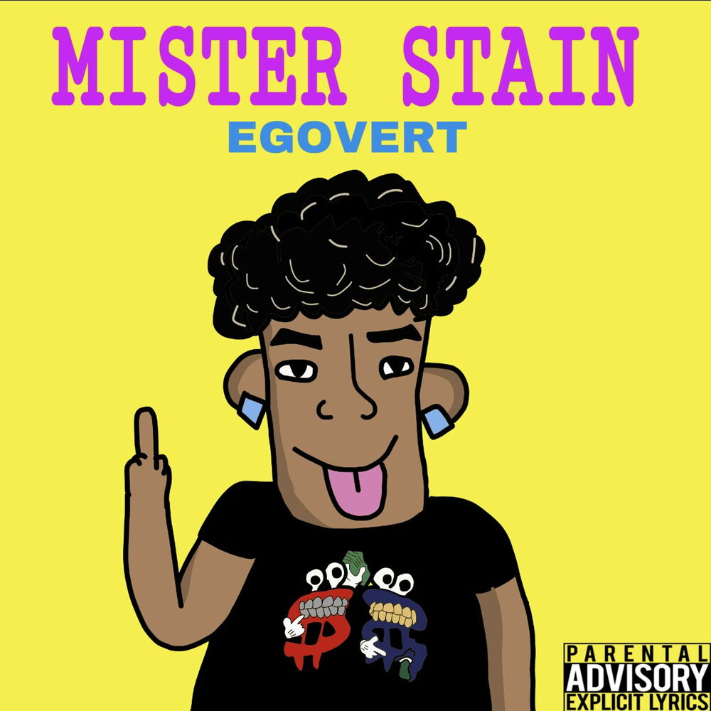 Picture of MISTER STAIN FREESTYLE