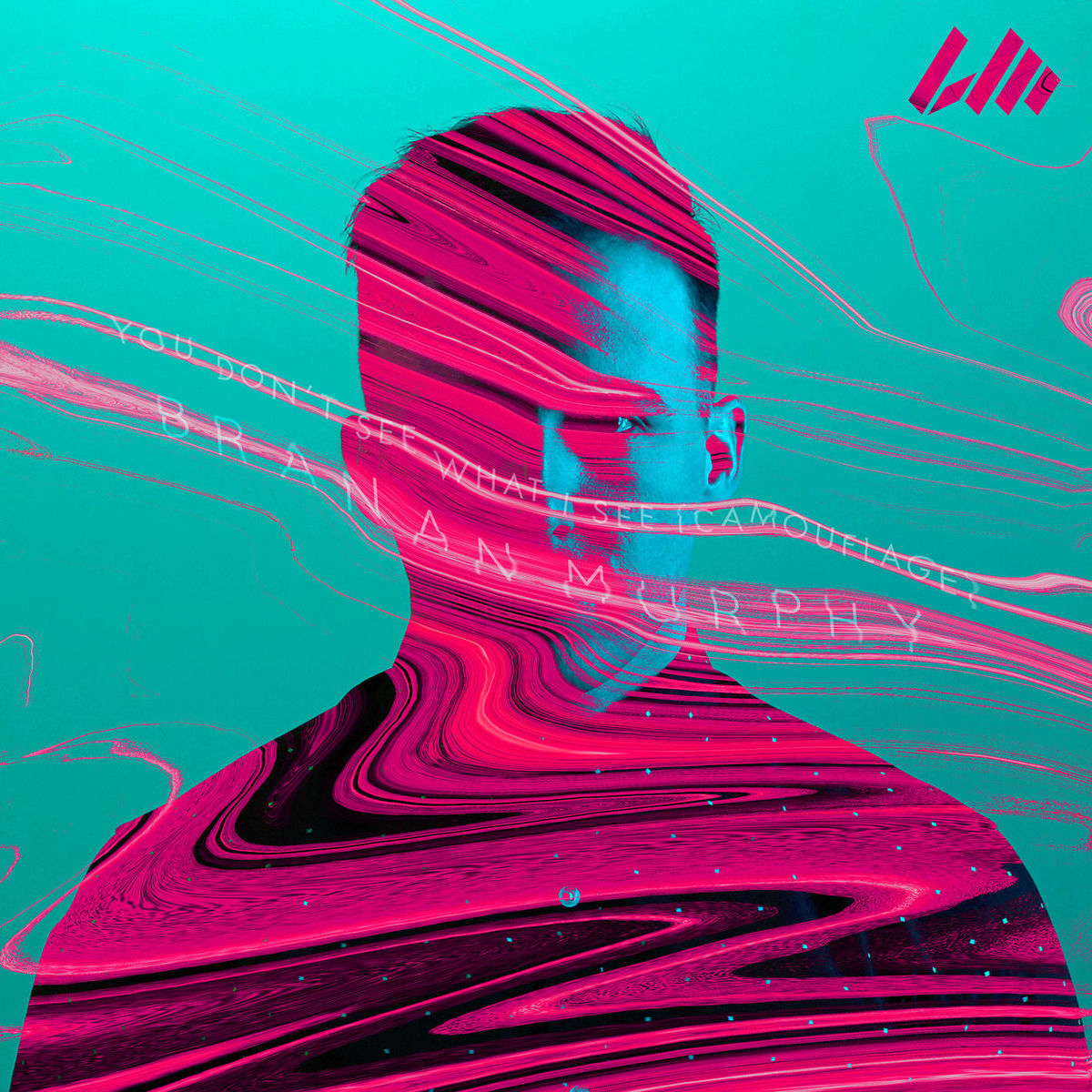 Album cover of You Don't See What I See (Camouflage)