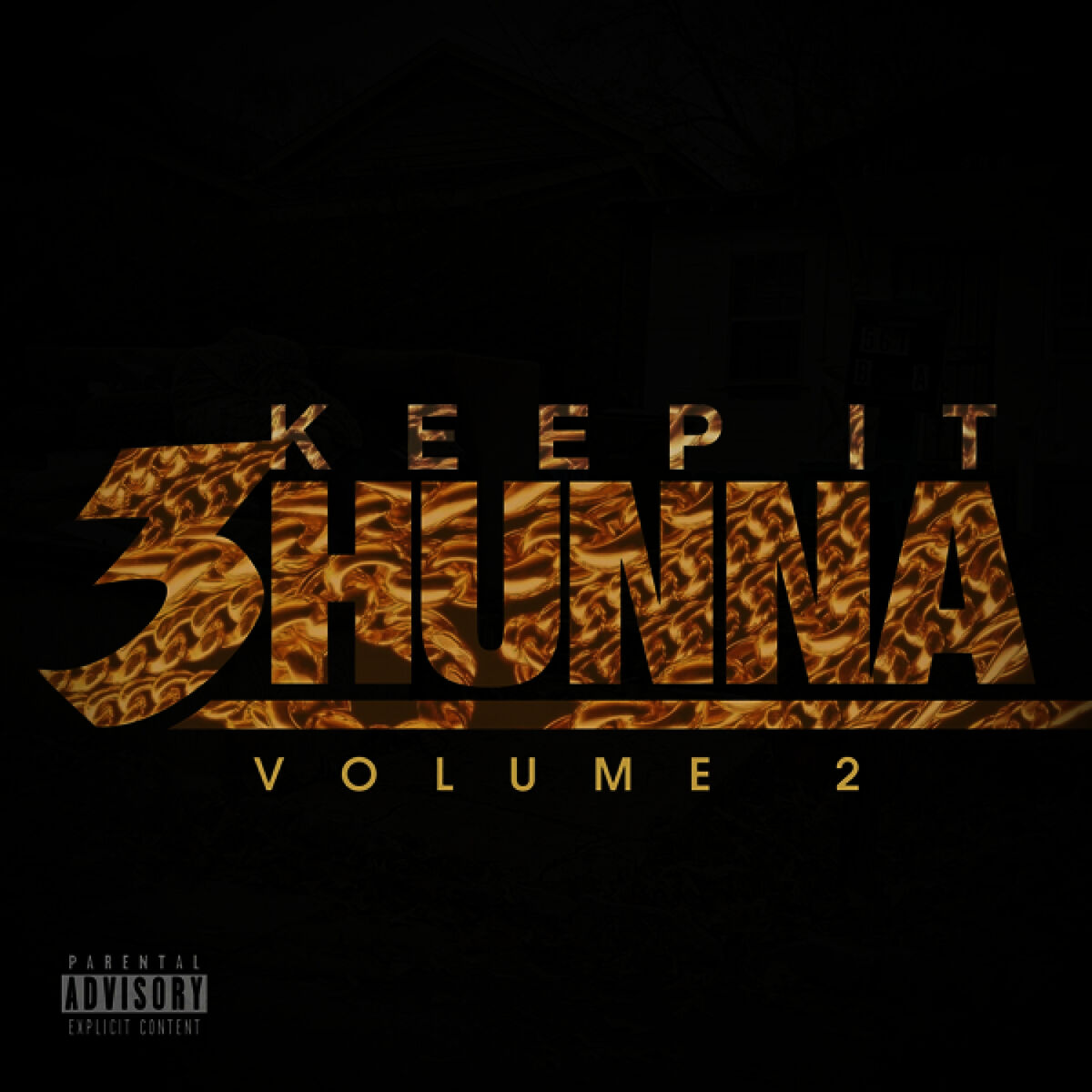 Album cover of Keep It 3hunna Vol 2