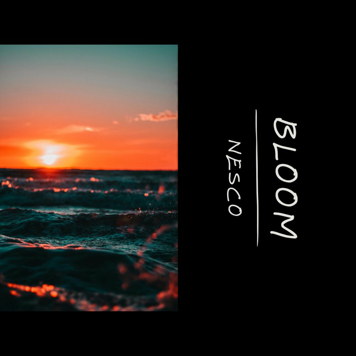 Album cover of Bloom