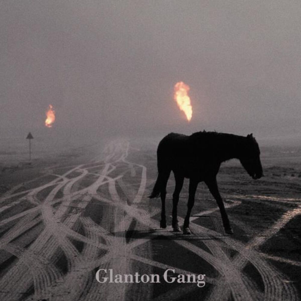 Picture of Glanton Gang