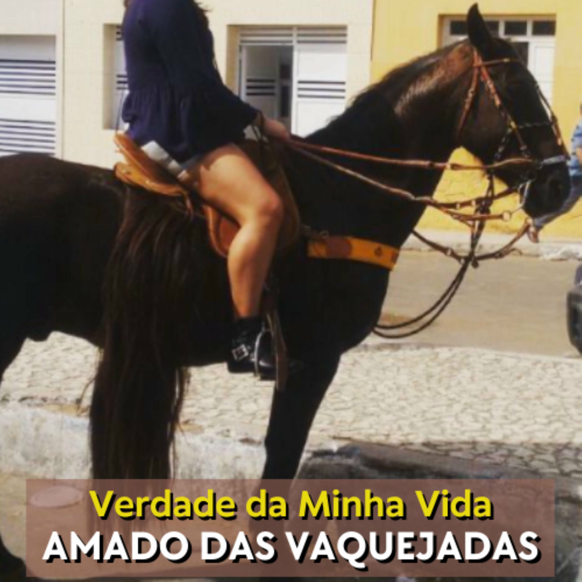 Album cover of Verdade da Minha Vida