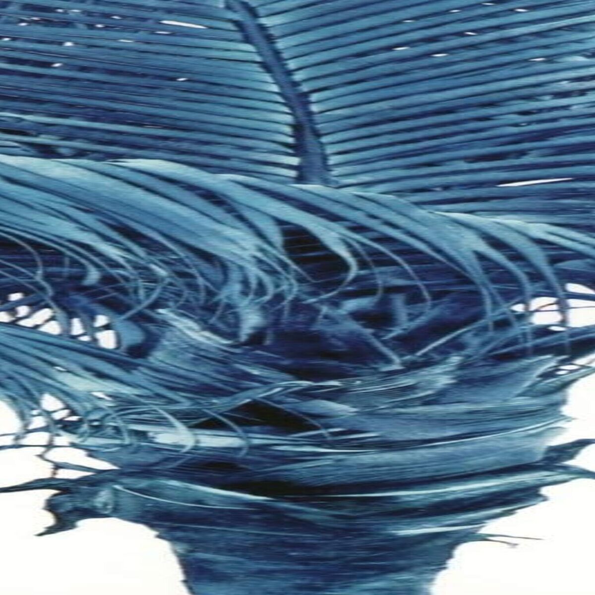 Album cover of Ultra Slow Ava