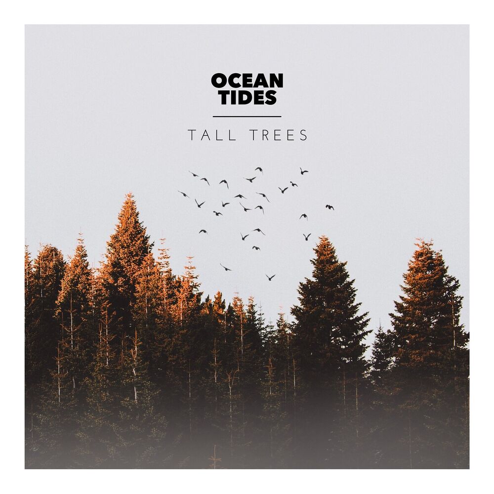 Picture of Tall Trees