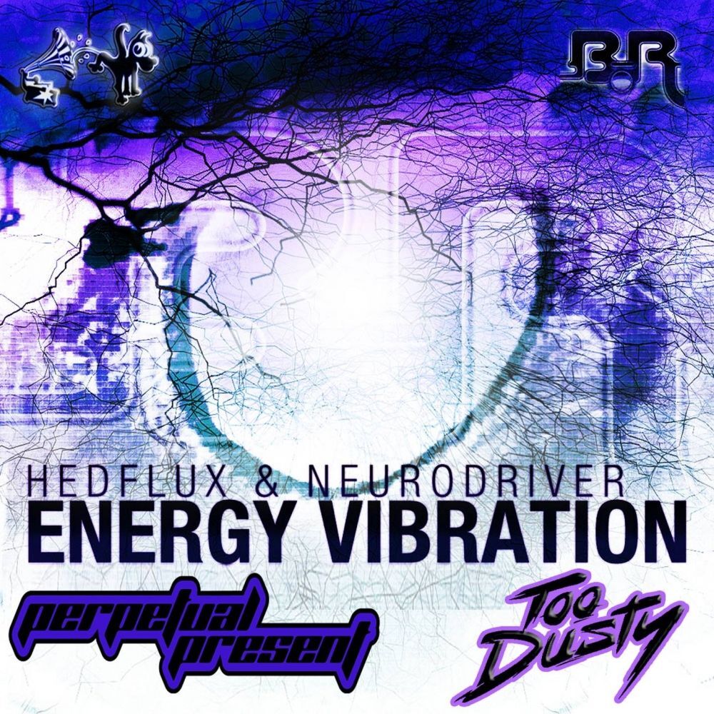 Picture of Energy Vibration Remixes