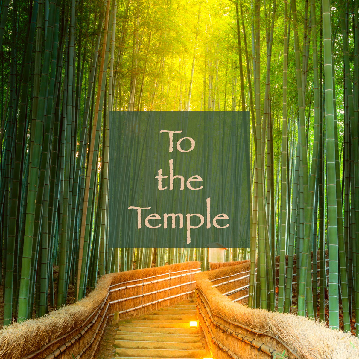 Album cover of To the Temple: Amazing Ethno Music for Devotion, Bhakti Yoga & Relaxing Shavasana