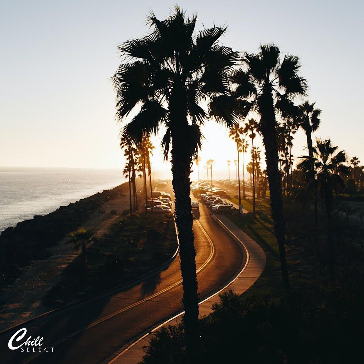 Album cover of Chill Vibes