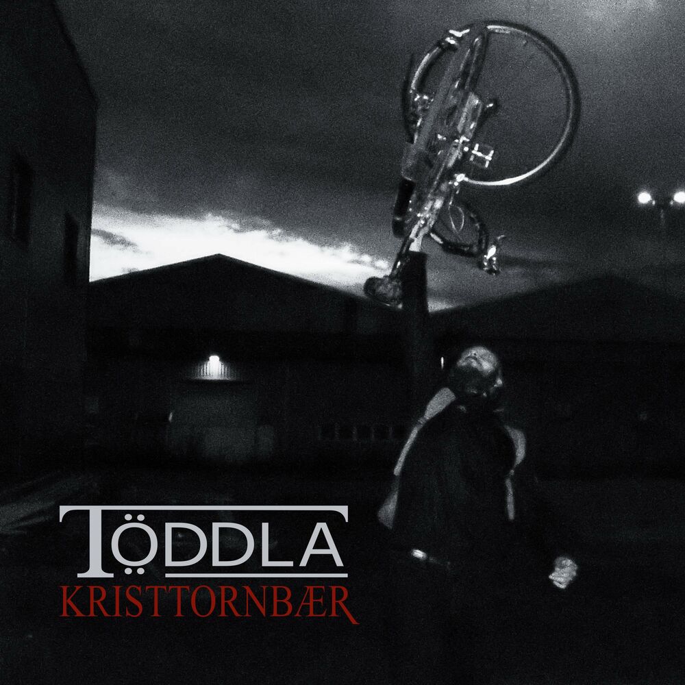 Picture of Kristtornbær