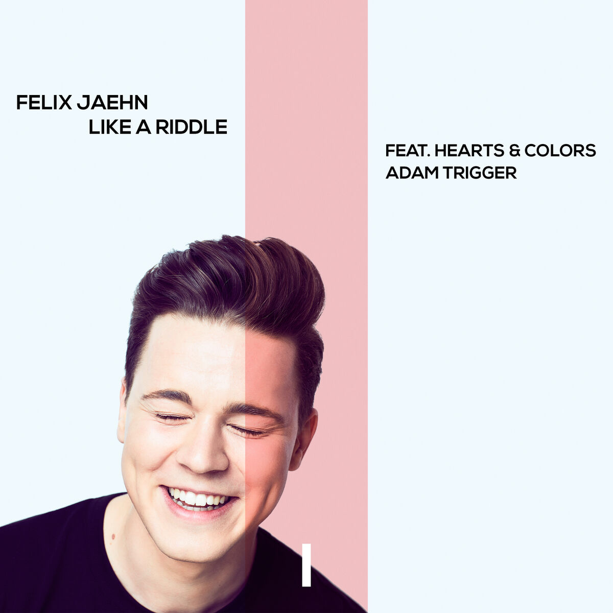 Album cover of Like A Riddle