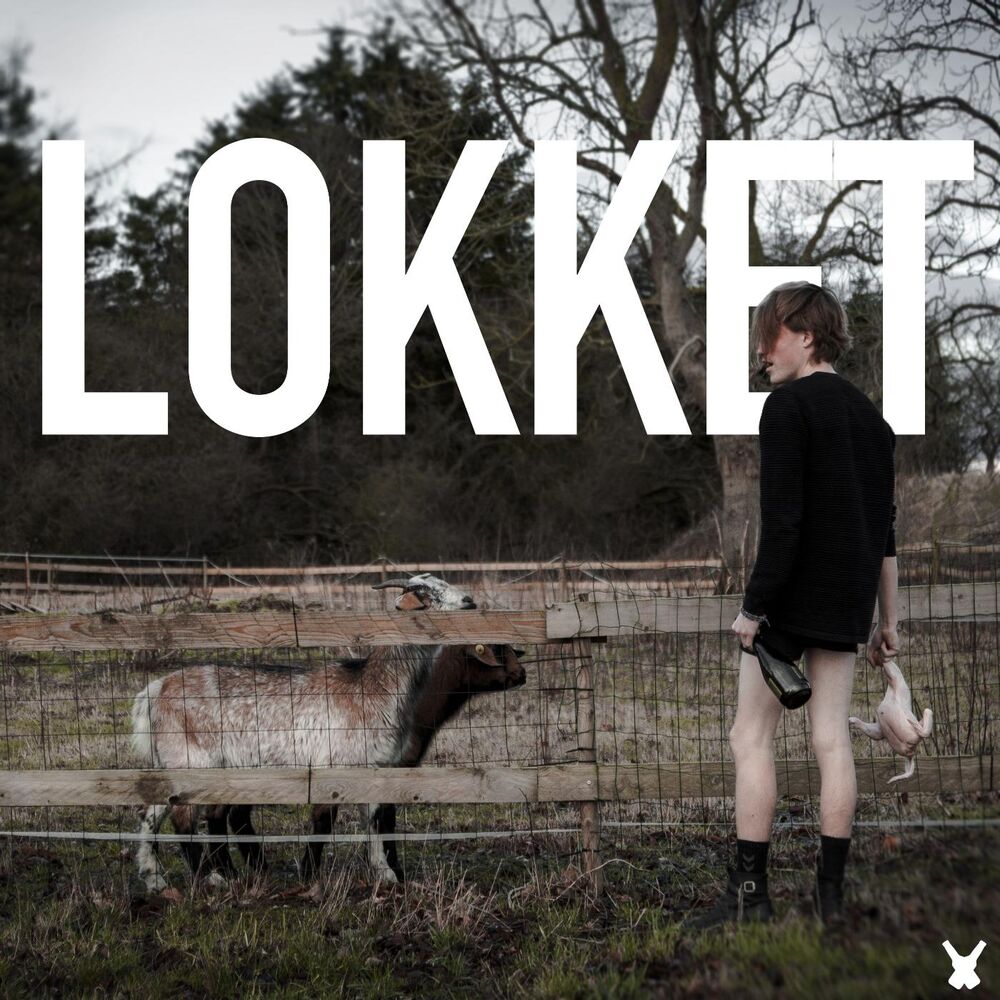 Picture of Lokket