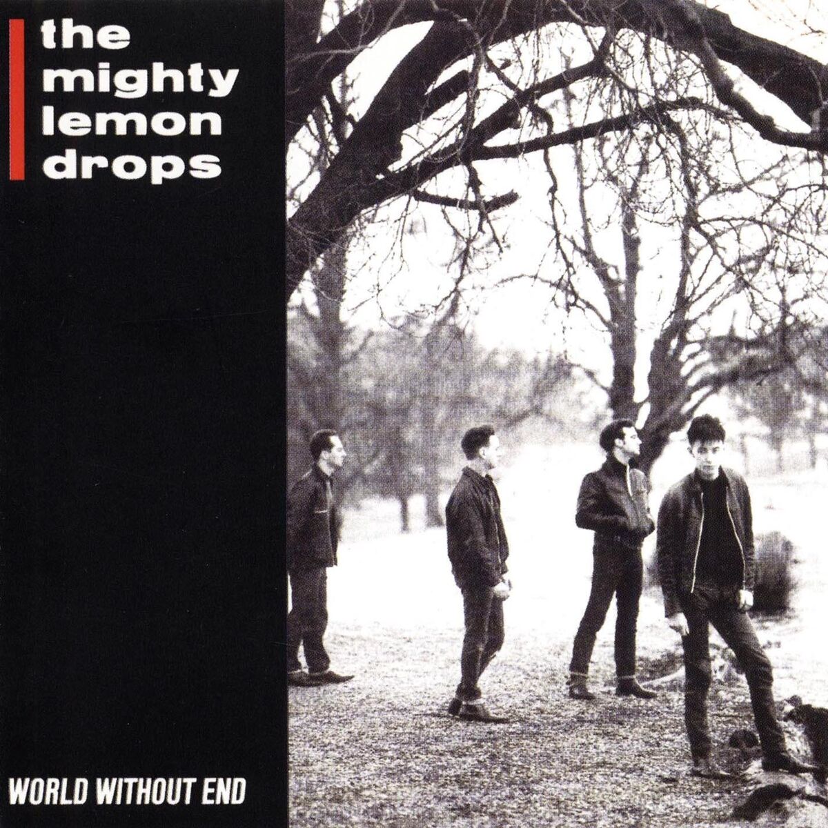 Album cover of World Without End