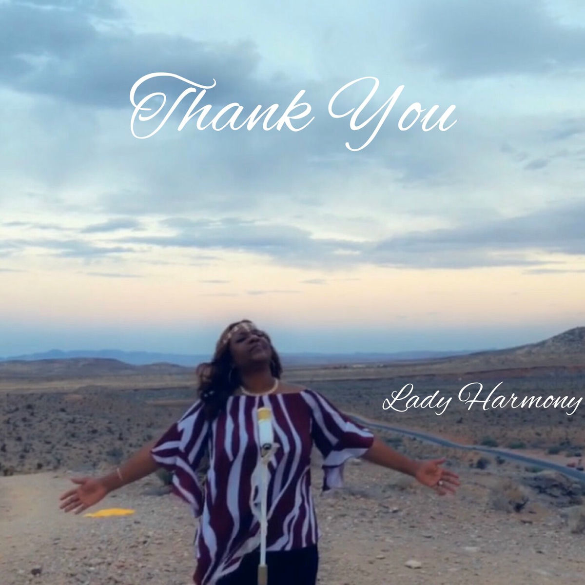 Album cover of Thank You