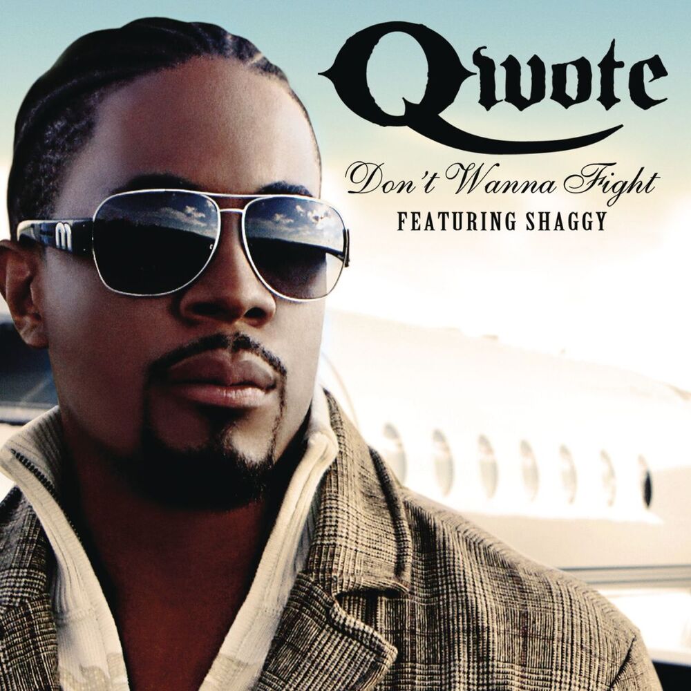 Picture of Don't Wanna Fight (feat. Shaggy) (Main Version)