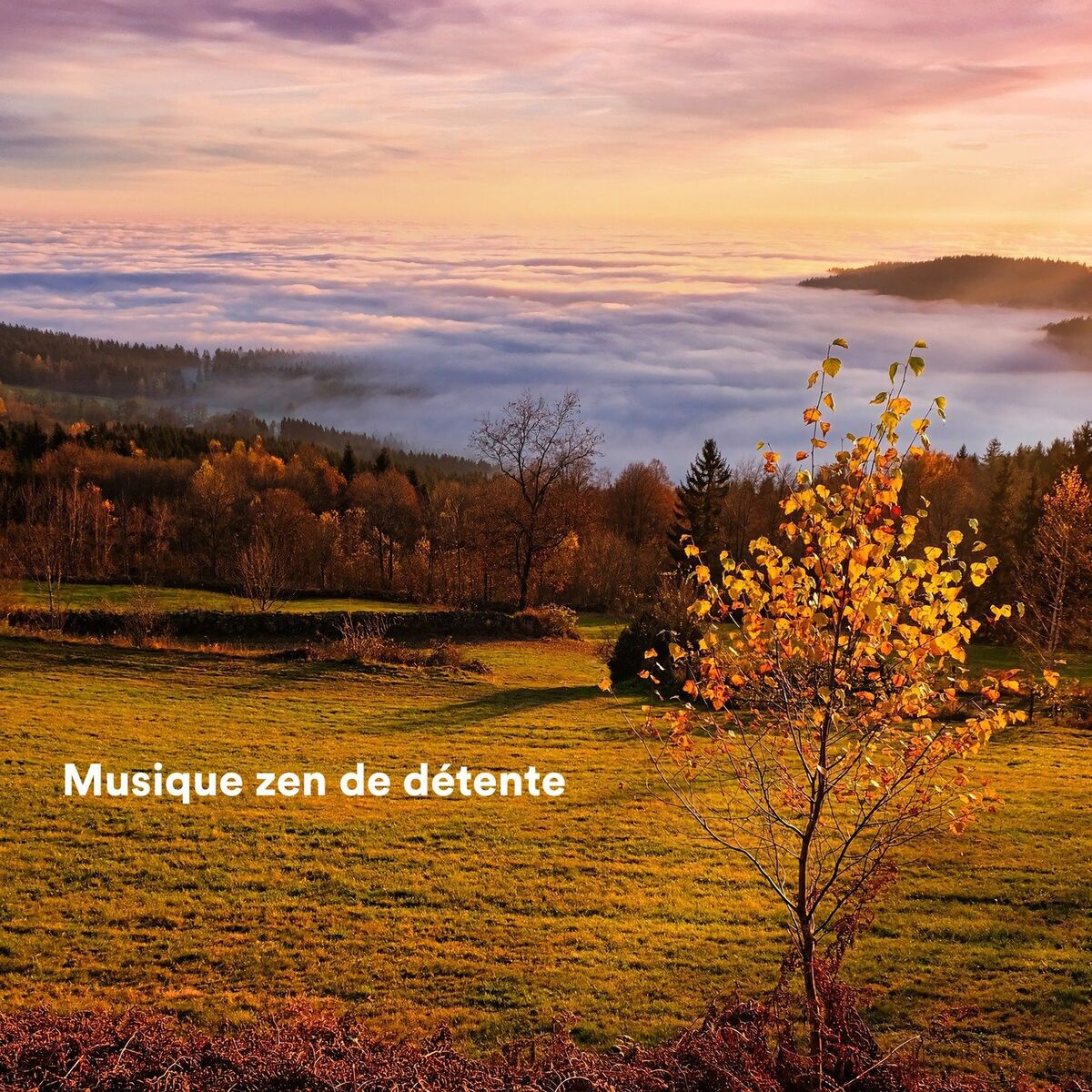 Album cover of Shared Awareness