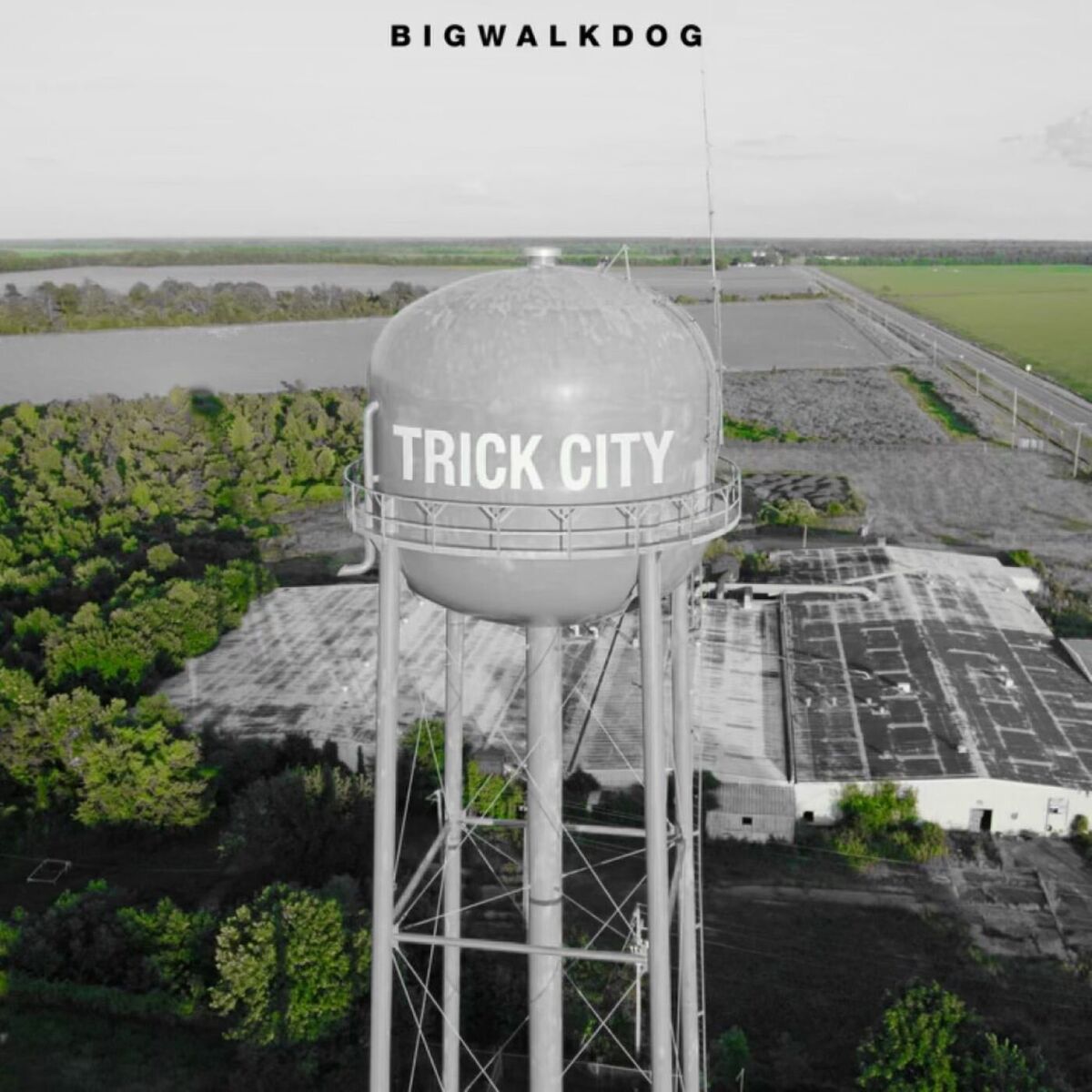 Album cover of Trick City (Deluxe)
