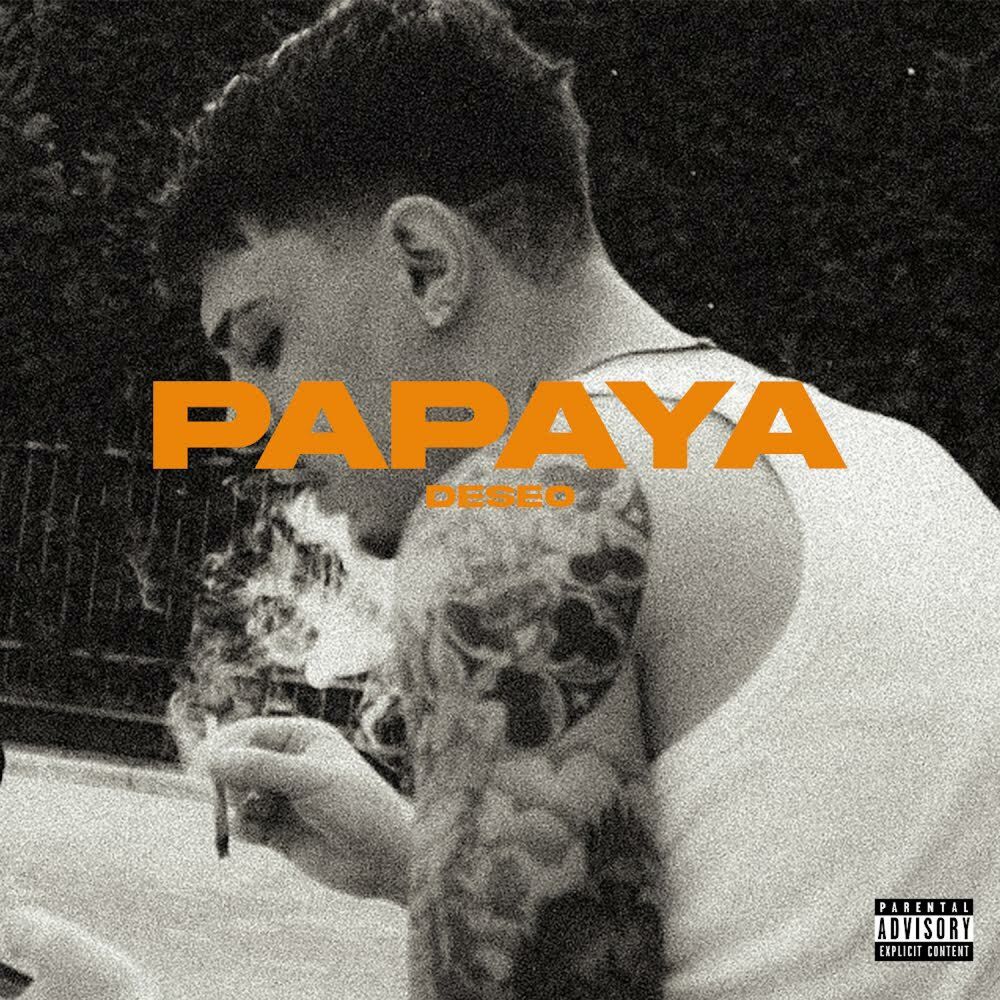 Picture of papaya