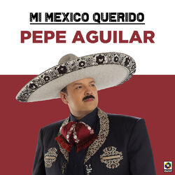 Cover of Mi Mexico Querido