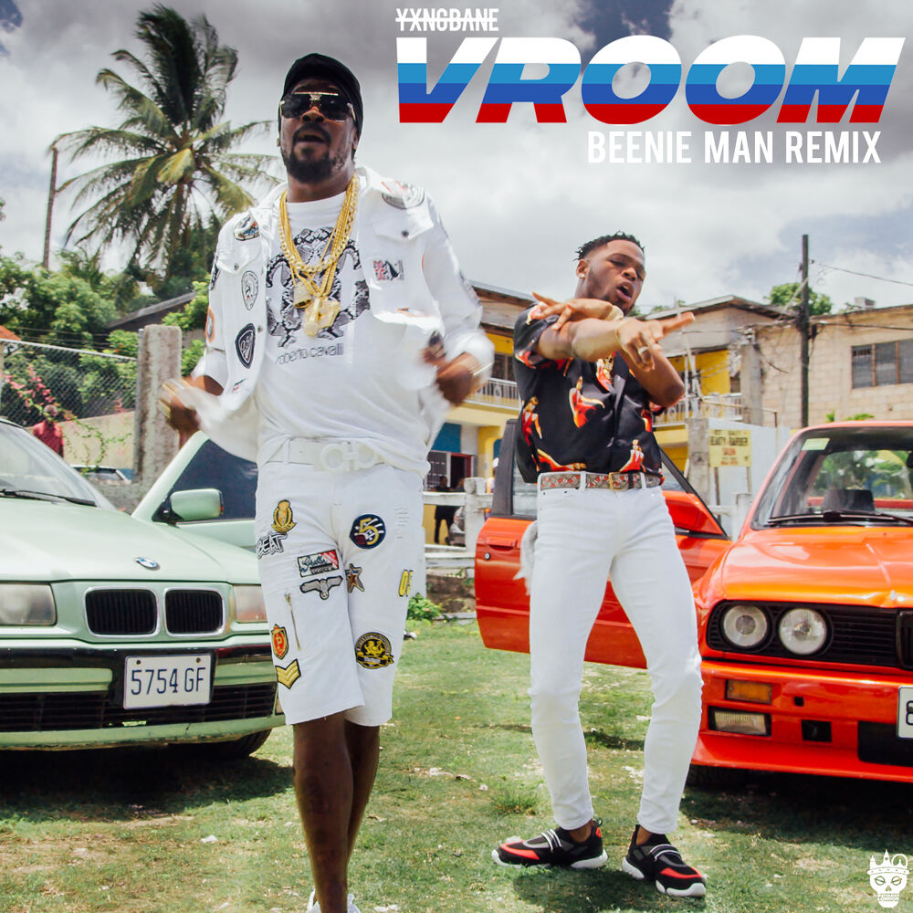 Picture of Vroom (Beenie Man Remix)