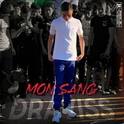 Cover of Mon sang