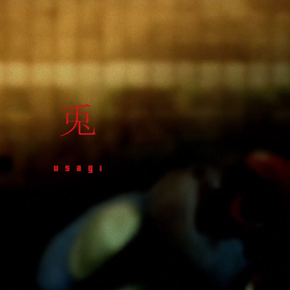 Album cover of Usagi