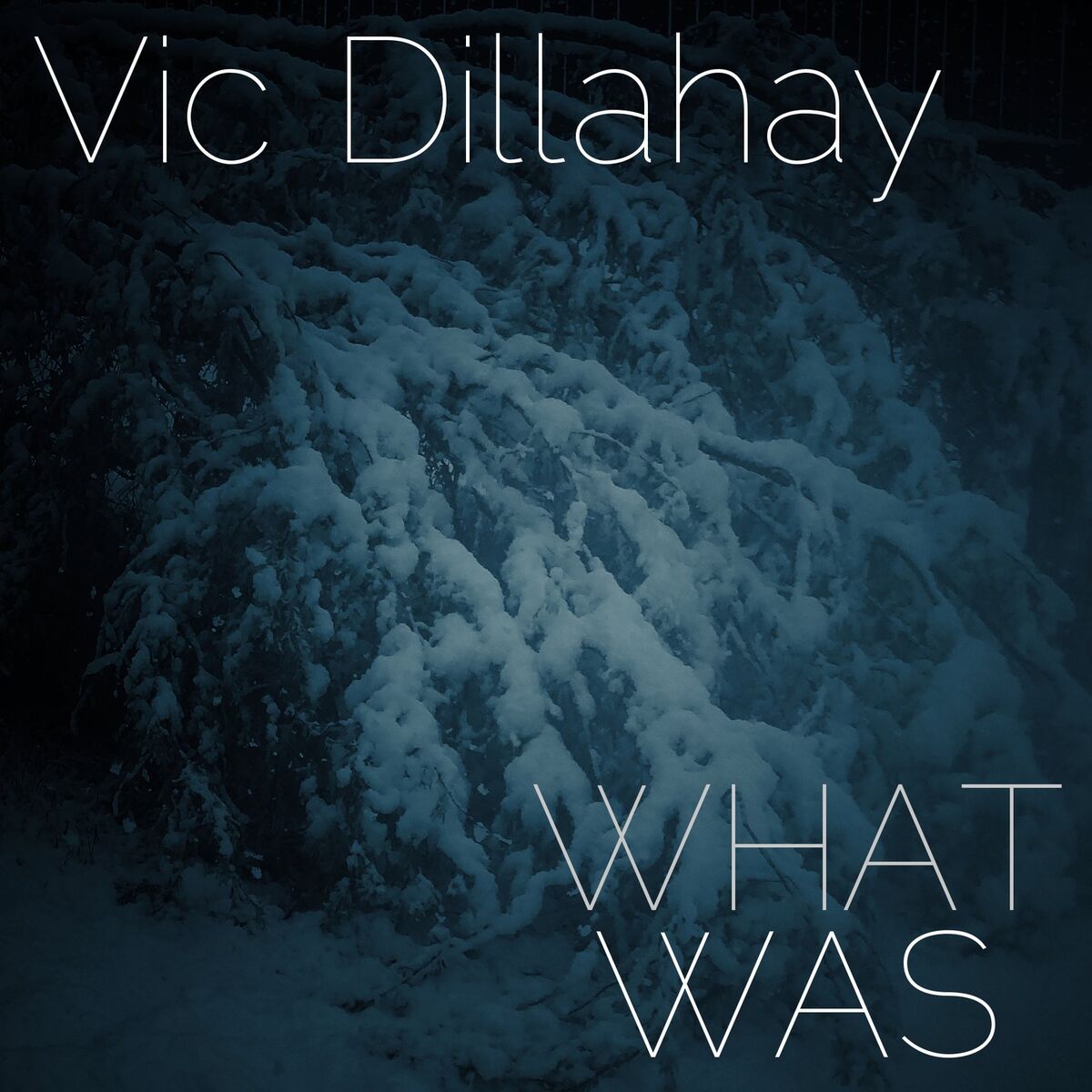 Album cover of What Was