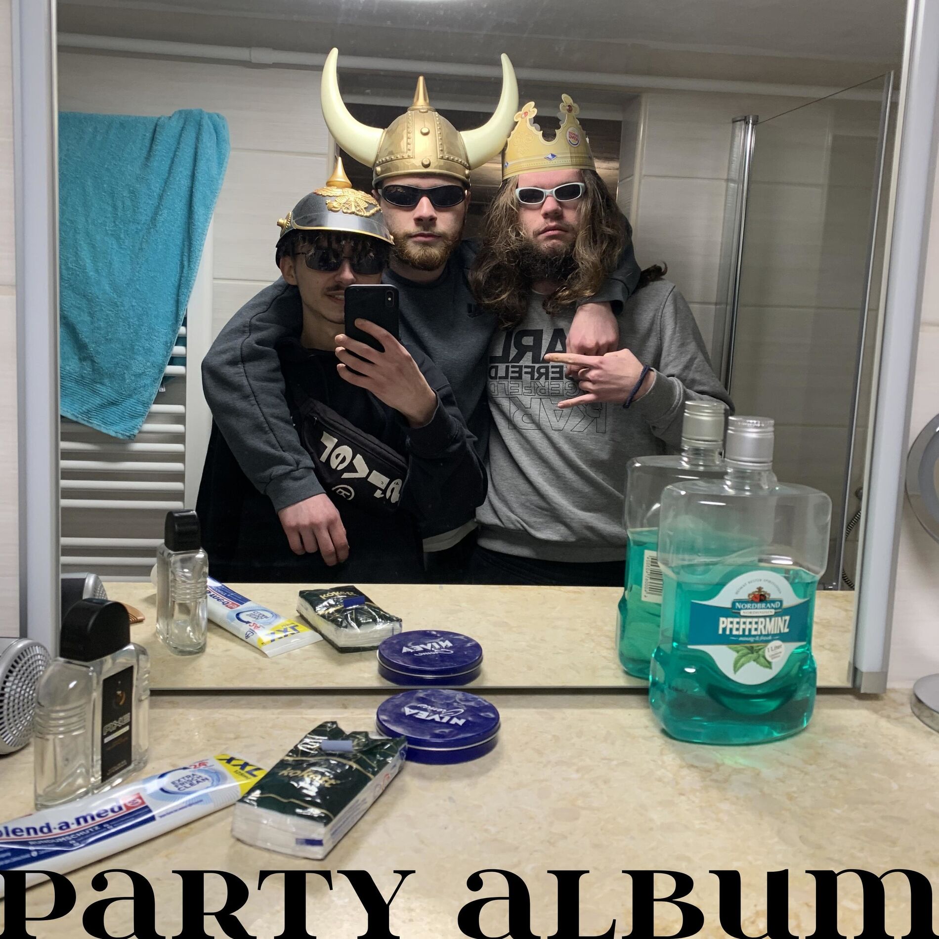 Album cover of Party Album
