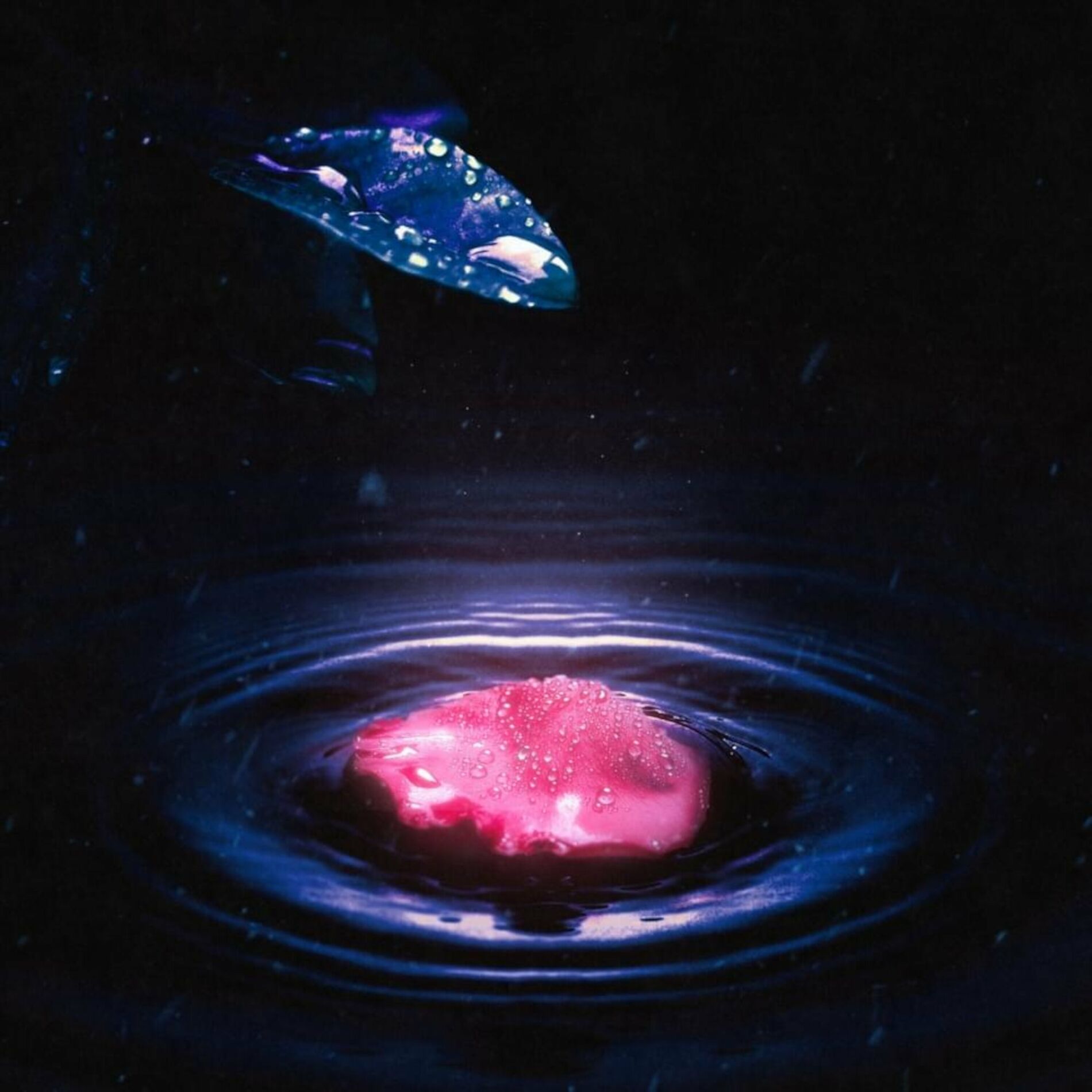 Album cover of последний лепесток