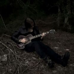 Cover of the woods