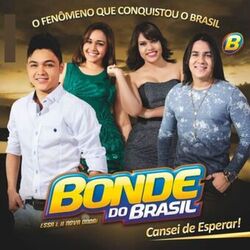 Cover of O Fenômeno Que Conquistou o Brasil