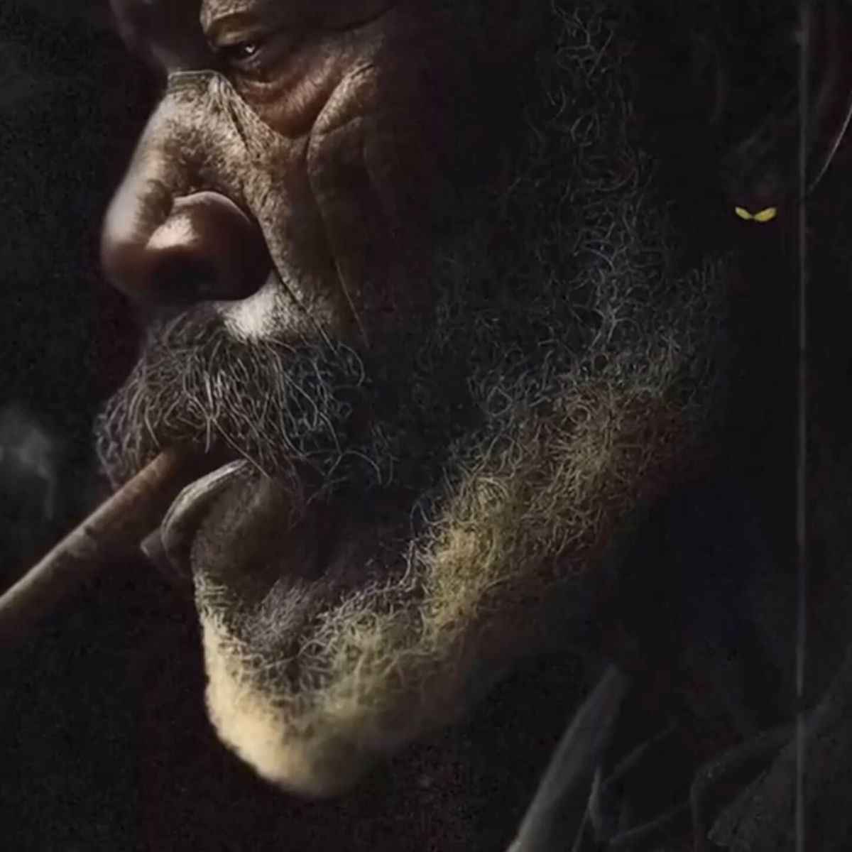 Album cover of BANDIDO DA SERRA