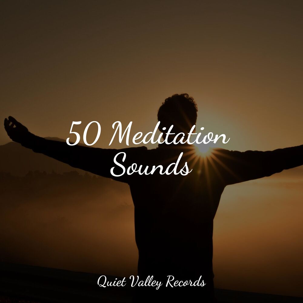 Picture of 50 Meditation Sounds