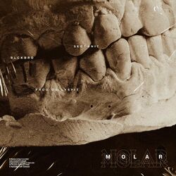 Cover of MOLAR