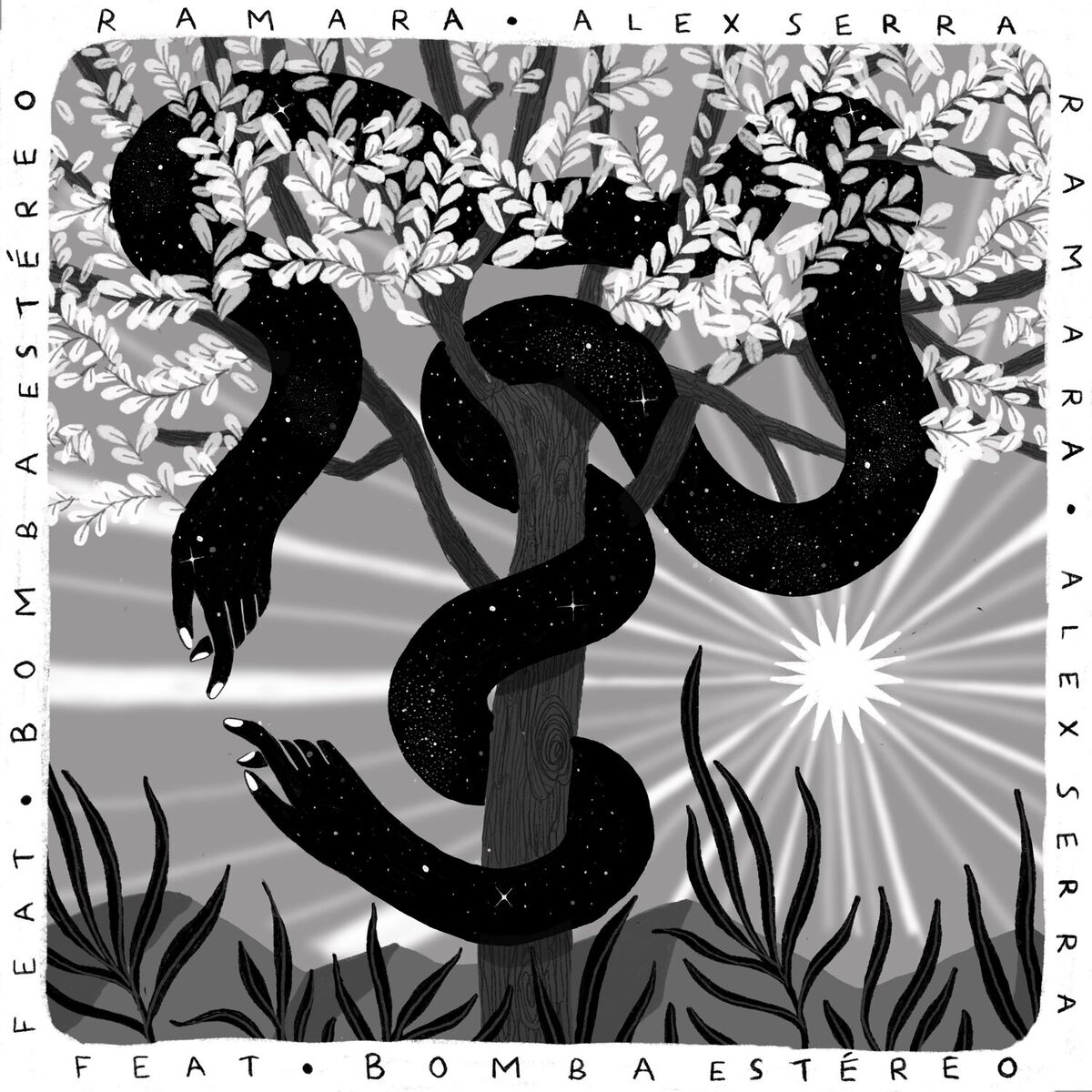 Album cover of RamaRa
