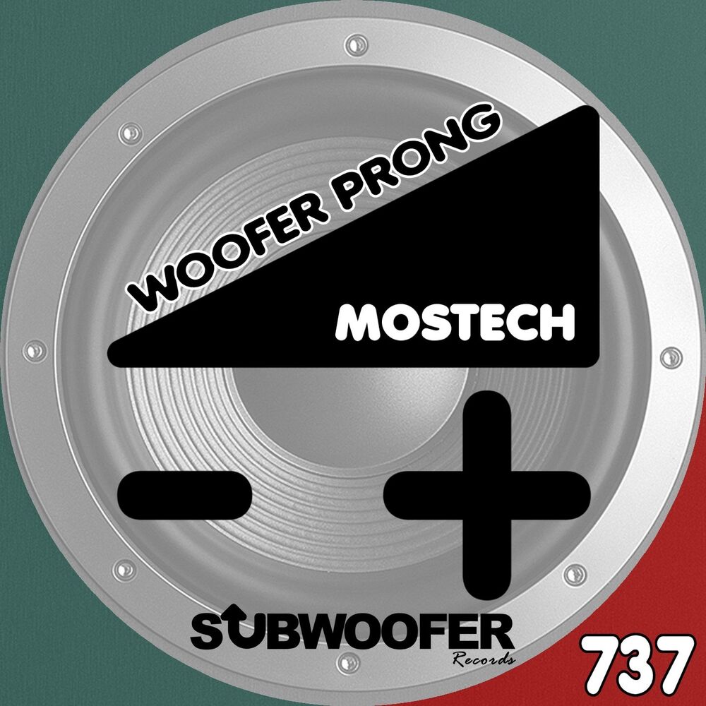 Picture of Woofer Prong