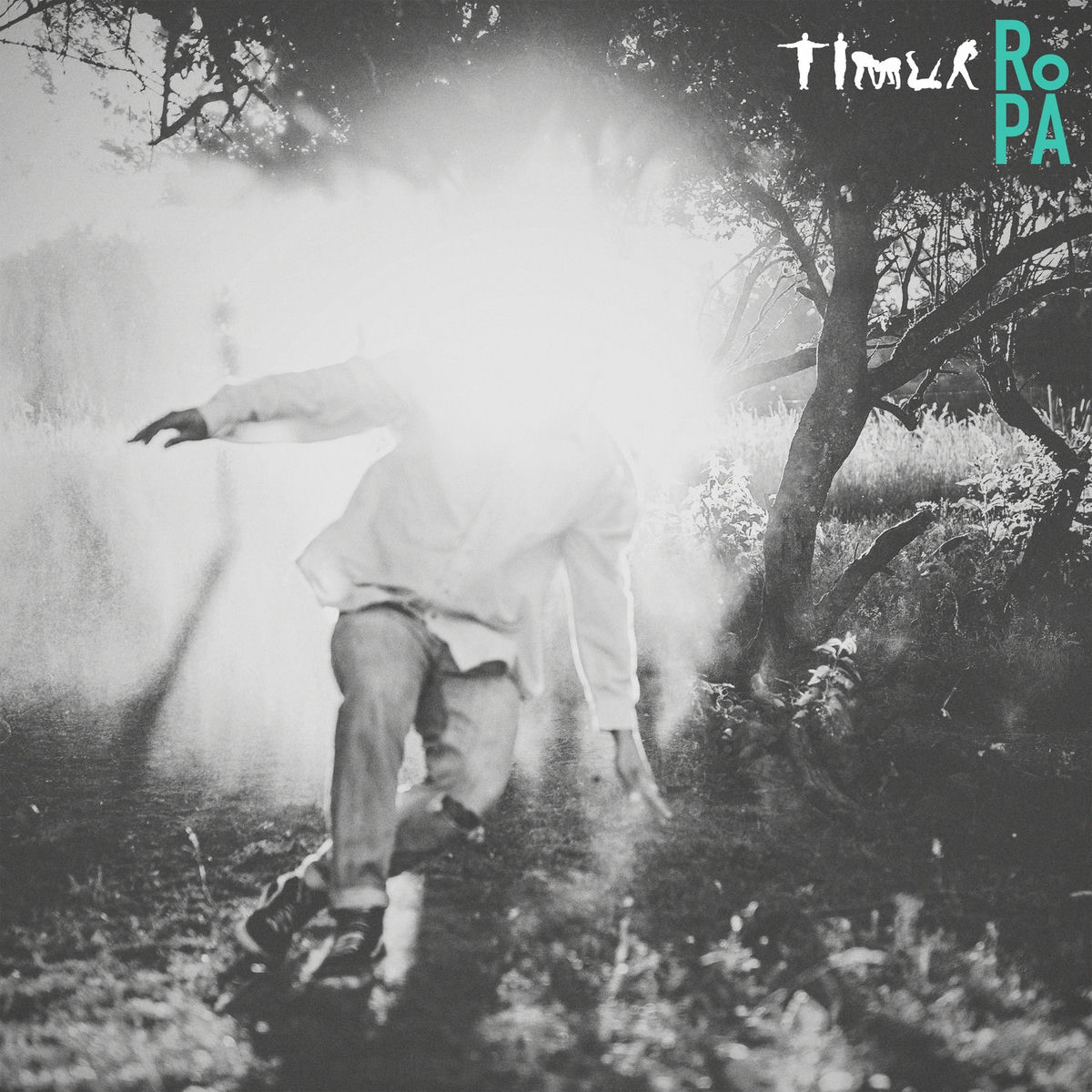 Album cover of Ro På
