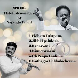 Cover of Flute Instrumentals by Nagaraju Talluri -, Vol. 1