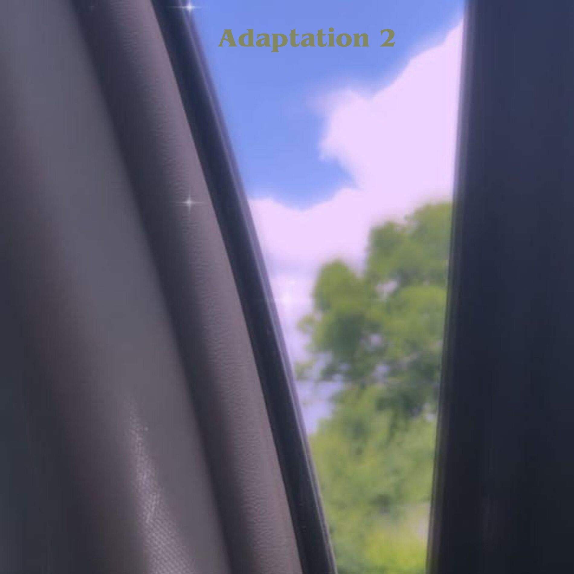 Album cover of Adaptation 2