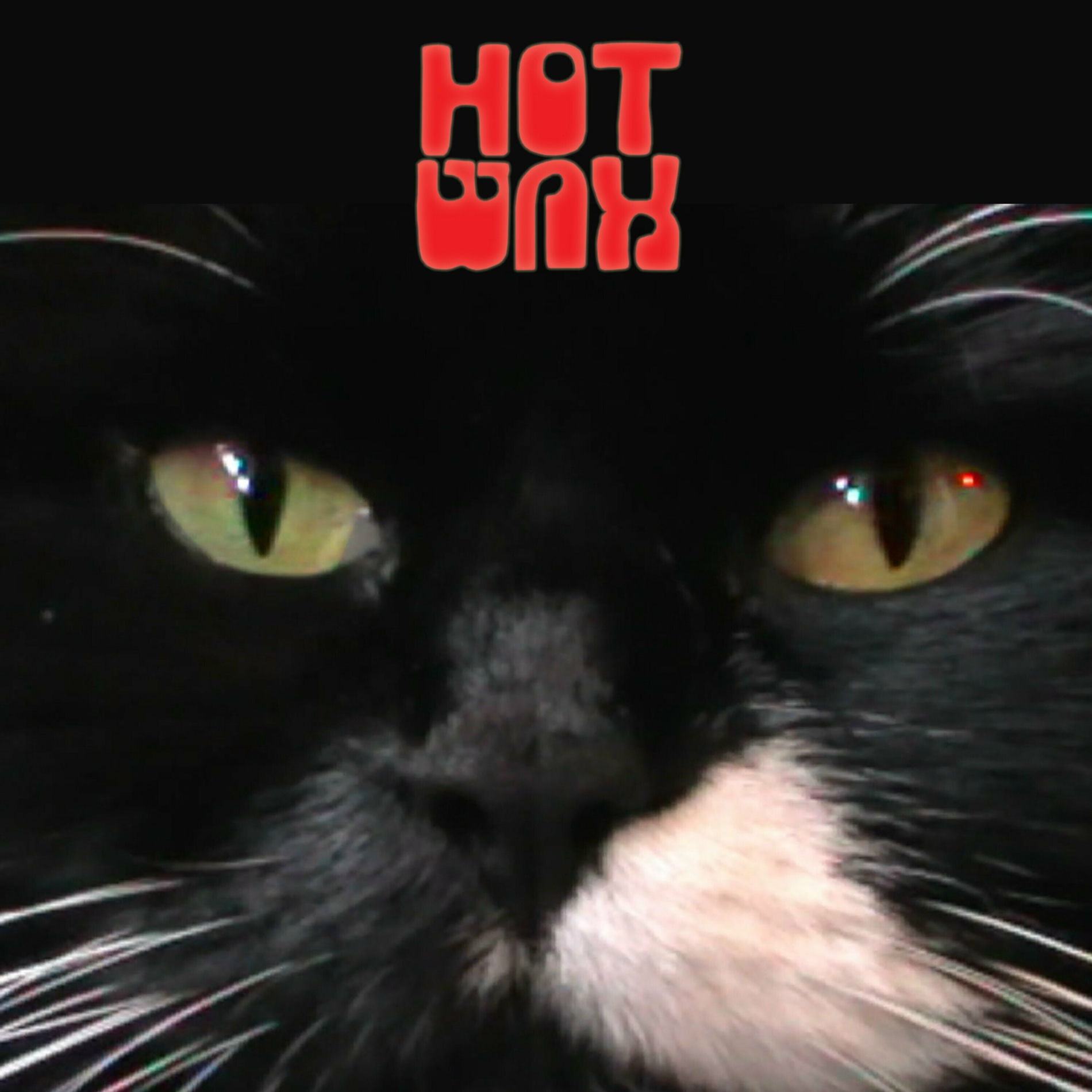 Album cover of Pat the Killer Cat