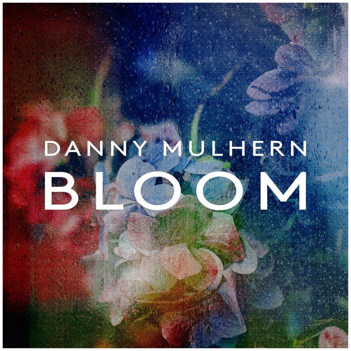 Album cover of Bloom