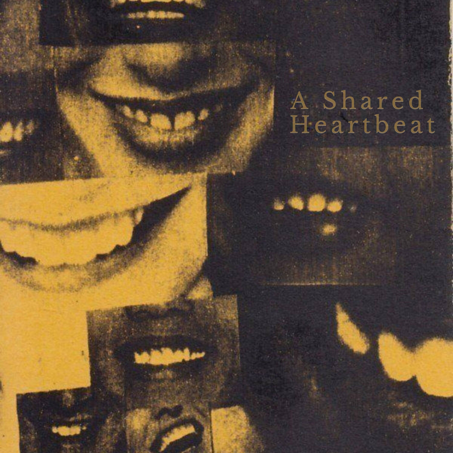Album cover of A Shared Heartbeat
